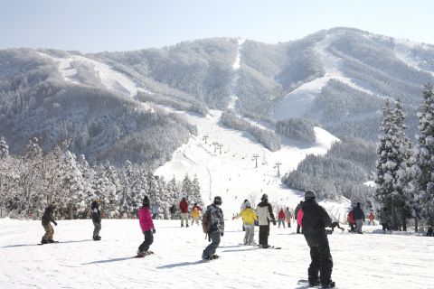 スキージャム勝山 | JAFナビ
