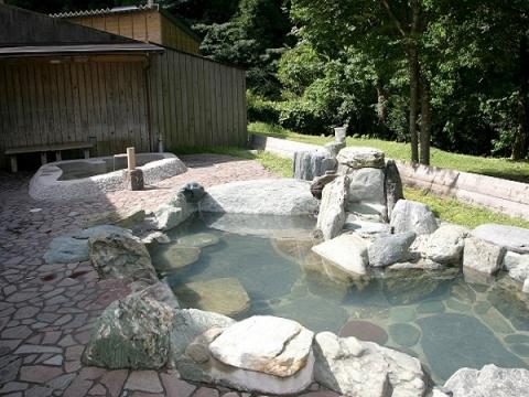 源泉の温泉宿 関西・中国・四国・九州編: 温泉はお湯で選べ! (JAF