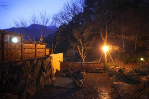 祖谷 秘境の湯 露天風呂