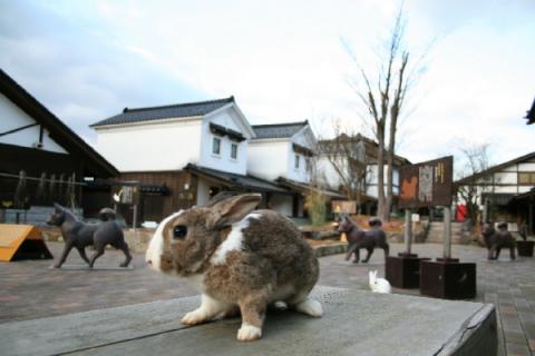 月うさぎの里 | JAFナビ