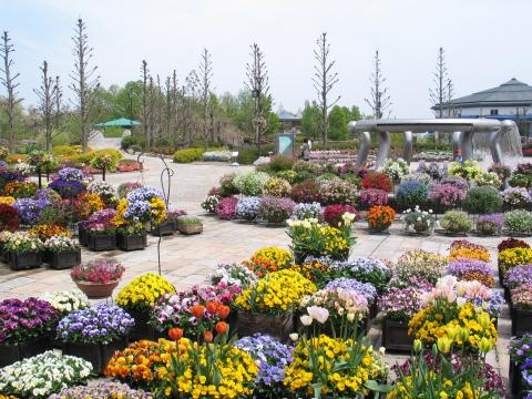 草津市立水生植物公園みずの森 Jafナビ